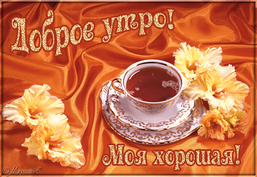 Последние открытки с добрым утром