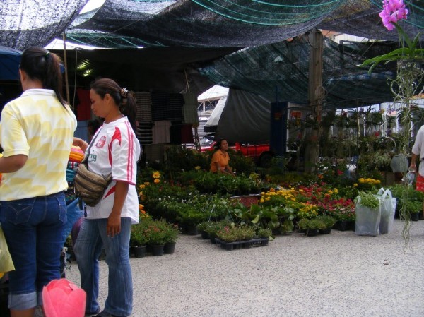 Thailand (24.10. - 07.11.2008) Заметки ни о чем