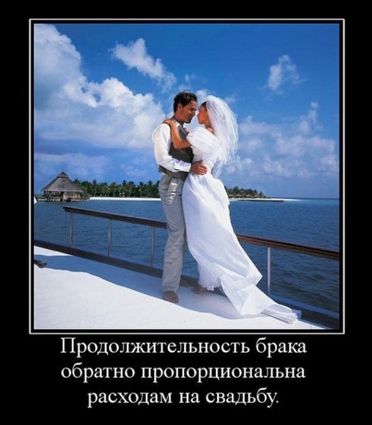 Вывернутый хвост прическа Cтили платьев. Виды кроя платьев. Коллекции 2013. ФОТО