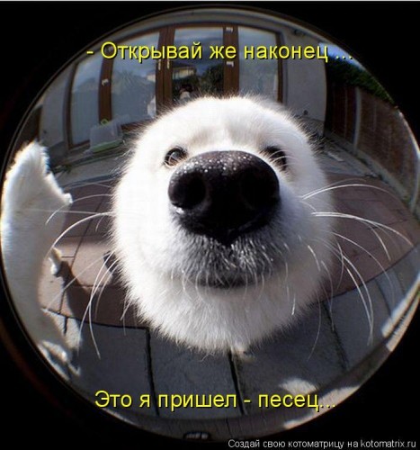 Новый порядок въезда граждан РФ и СНГ на Шри-Ланку