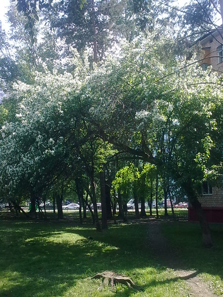 ИЮНЬ2012 