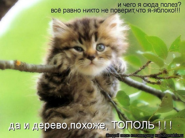 http://content.foto.mail.ru/mail/mamantenok2004/1146/i-1163.jpg