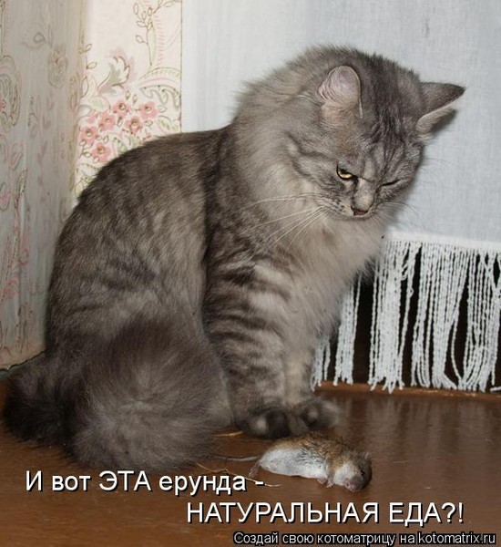 http://content.foto.mail.ru/mail/mamantenok2004/1146/i-1183.jpg