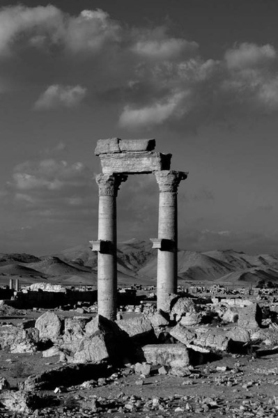 Syria in brief...(фото-трафик)