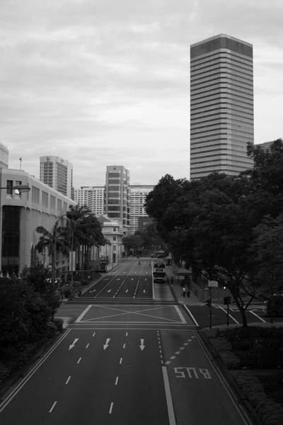 Бананово-лимонный черно-белый Сингапур - фотоотчет