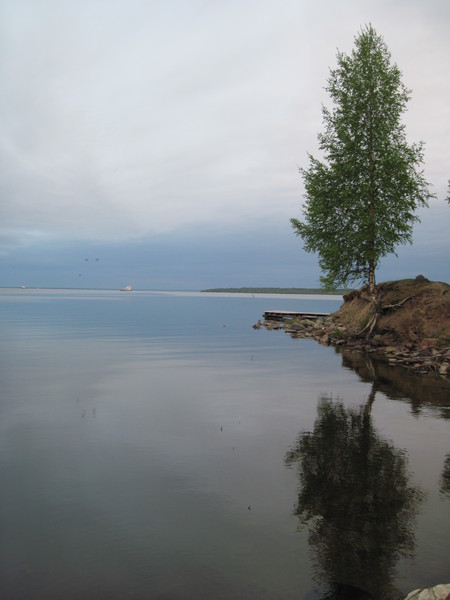 Природа родного края