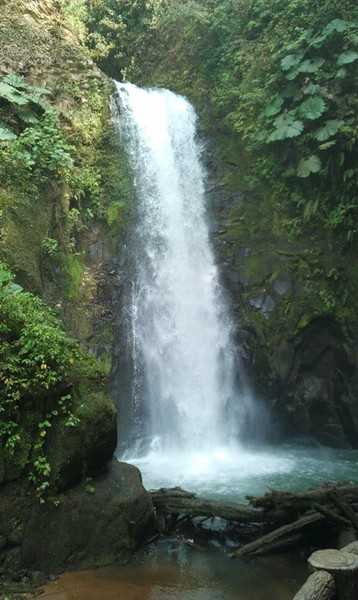 Коста Рика:под и над водой.