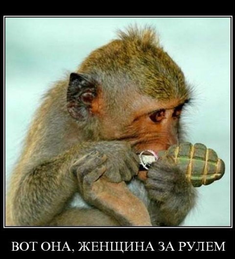 Поздравления с днем рождения 60 лет в газету