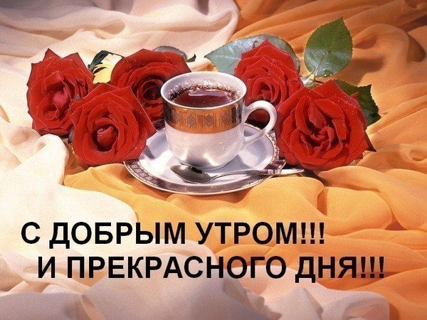 http://content.foto.mail.ru/mail/mila.vinci/669/s-1722.jpg