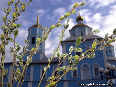 http://content.foto.mail.ru/mail/milasp55/_answers/i-2558.jpg
