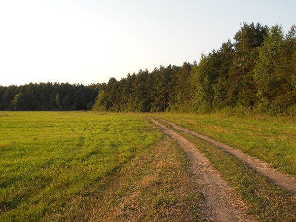 http://content.foto.mail.ru/mail/mironigor/154/i-160.jpg