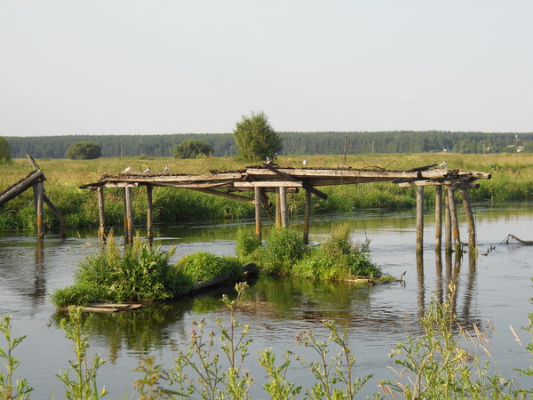 http://content.foto.mail.ru/mail/mironigor/154/i-171.jpg