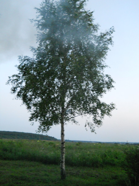 http://content.foto.mail.ru/mail/mironigor/154/i-174.jpg