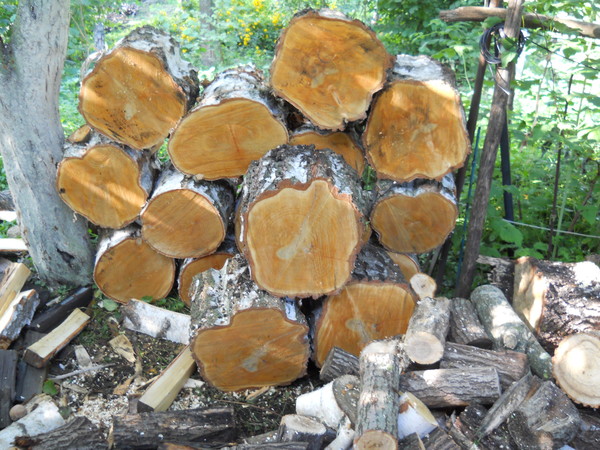 http://content.foto.mail.ru/mail/mironigor/154/i-180.jpg