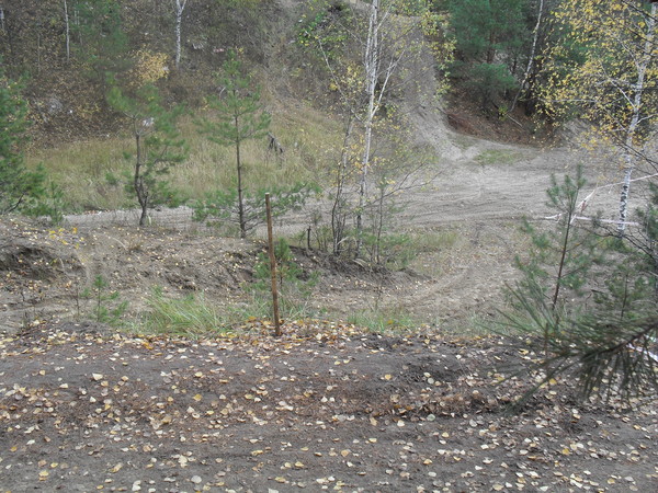 i-506.jpg