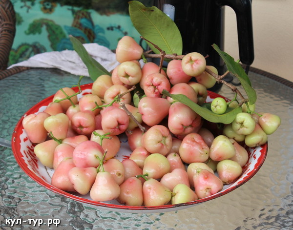 райские яблоки тайланд