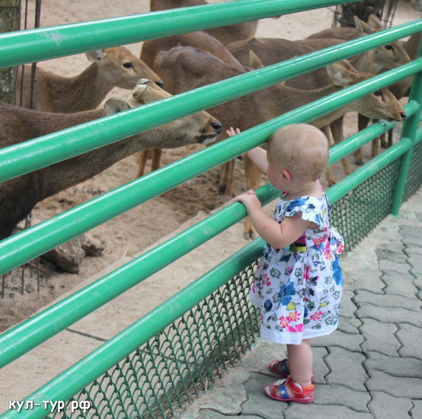 ребёнок в зоопарке