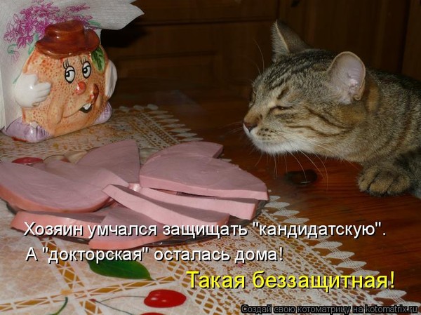 http://content.foto.mail.ru/mail/rayabratsk/_blogs/i-7444.jpg