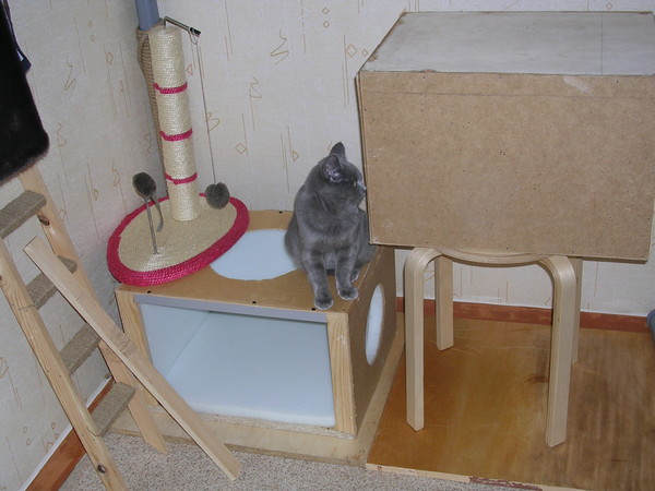 http://content.foto.mail.ru/mail/resident_evil74/_blogs/i-115.jpg