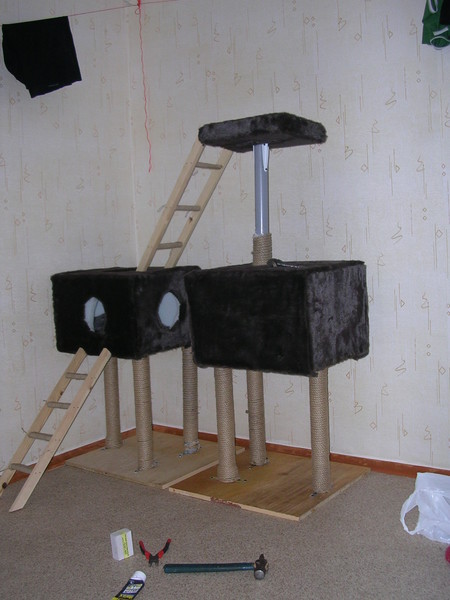 http://content.foto.mail.ru/mail/resident_evil74/_blogs/i-117.jpg