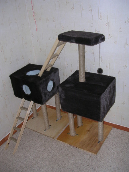 http://content.foto.mail.ru/mail/resident_evil74/_blogs/i-118.jpg