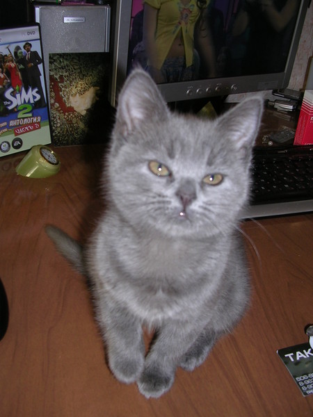 http://content.foto.mail.ru/mail/resident_evil74/_blogs/i-94.jpg