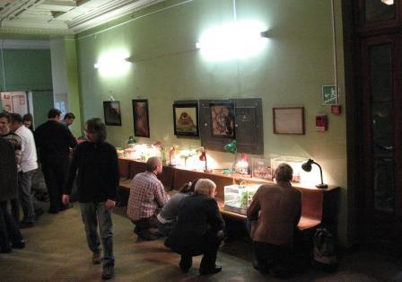 Выставка живых насекомых на биофаке МГУ I-454