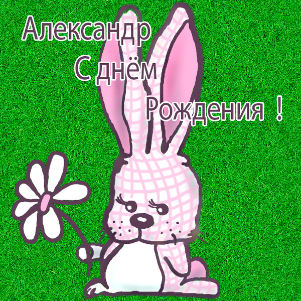 Поздравление с днем рождения александра шуточное