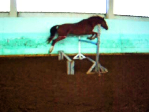 i-1078.jpg