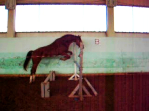 i-1079.jpg