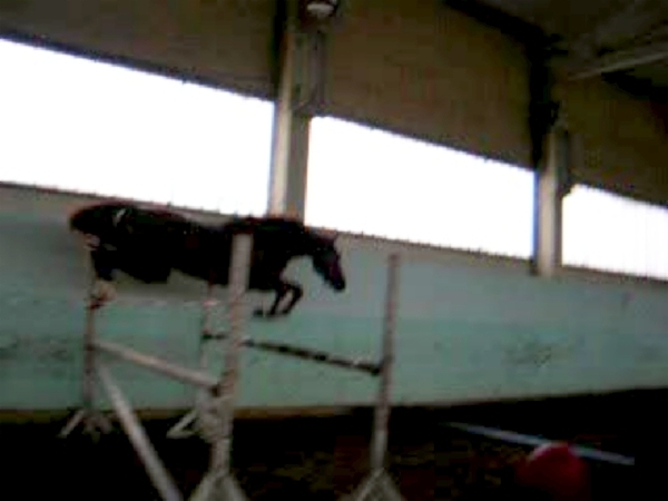 i-1199.jpg