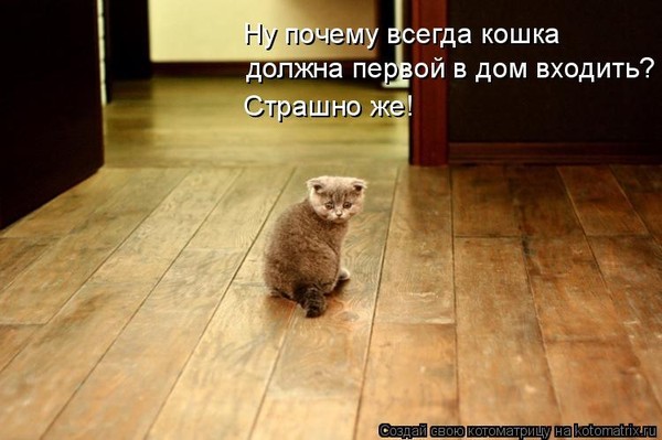 http://content.foto.mail.ru/mail/sav42000/_answers/i-670.jpg