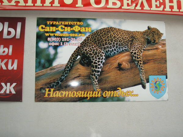 Сан-Си-Фан Реклама Сан-Си-Фан на фасаде торгового центра