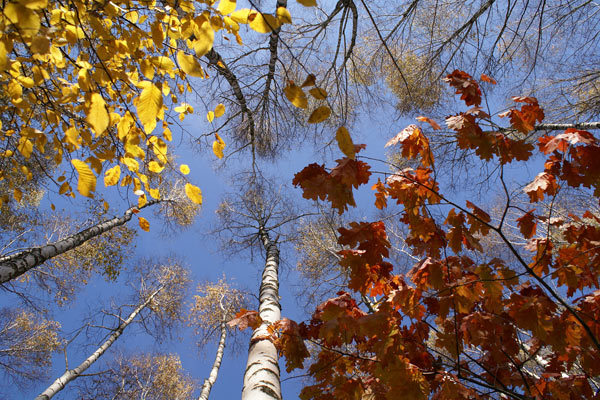 http://content.foto.mail.ru/mail/serg-k3/_myphoto/i-109.jpg