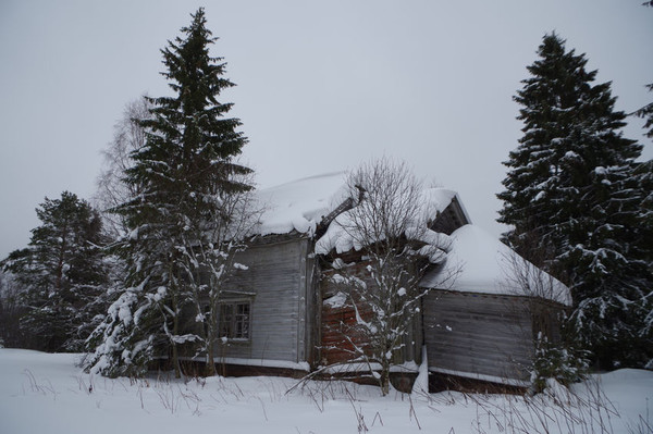 http://content.foto.mail.ru/mail/shel1983/07-12_02_2013-d3/i-62687.jpg