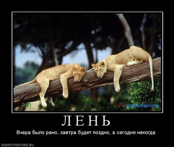 Размещенное изображение