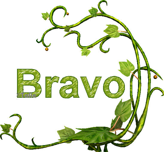 BRAVO - Обучаем персонал - Компания "Эффект