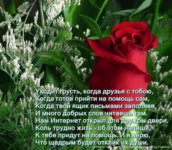 Утро звать Утро звать