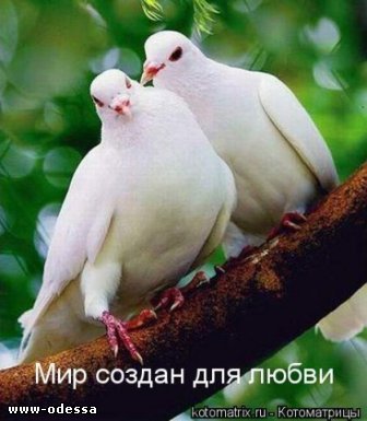 к словам Ф.М. Достоевского