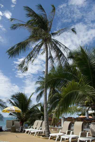 Koh Samui: Marina Villa, Lamai