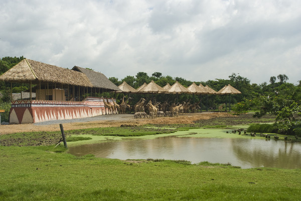 Safari Word или Khao Kheow Open Zoo