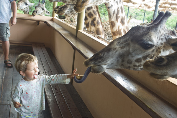 Safari Word или Khao Kheow Open Zoo