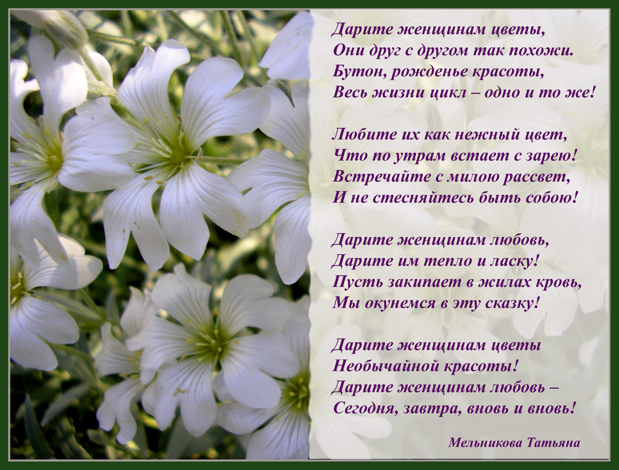 Расцветаю как цветок стих Расцветаю как цветок стих