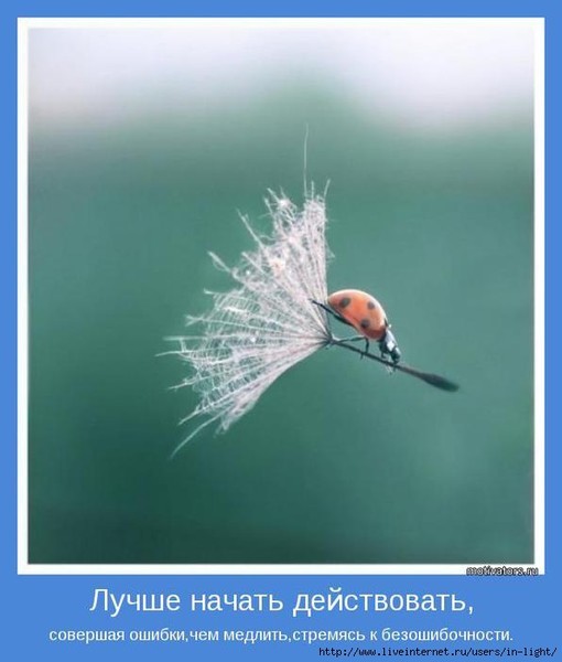 http://content.foto.mail.ru/mail/tic-75/773/i-829.jpg