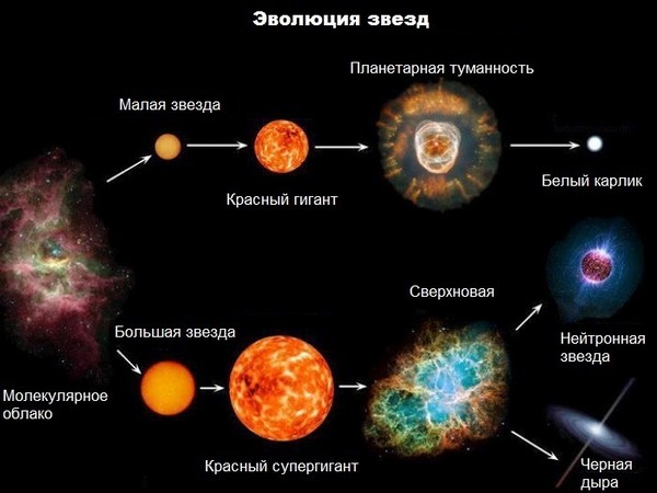 Солнце и звезды 11 класс физика презентация