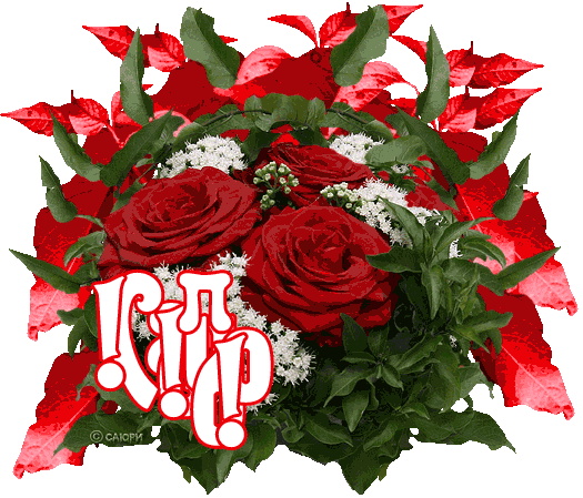 http://content.foto.mail.ru/mail/ufkz57/_animated/i-393.gif