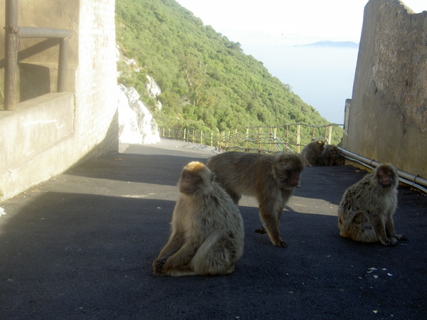 Гибралтар - путешествие в июле 2008. El enemigo no pasara!