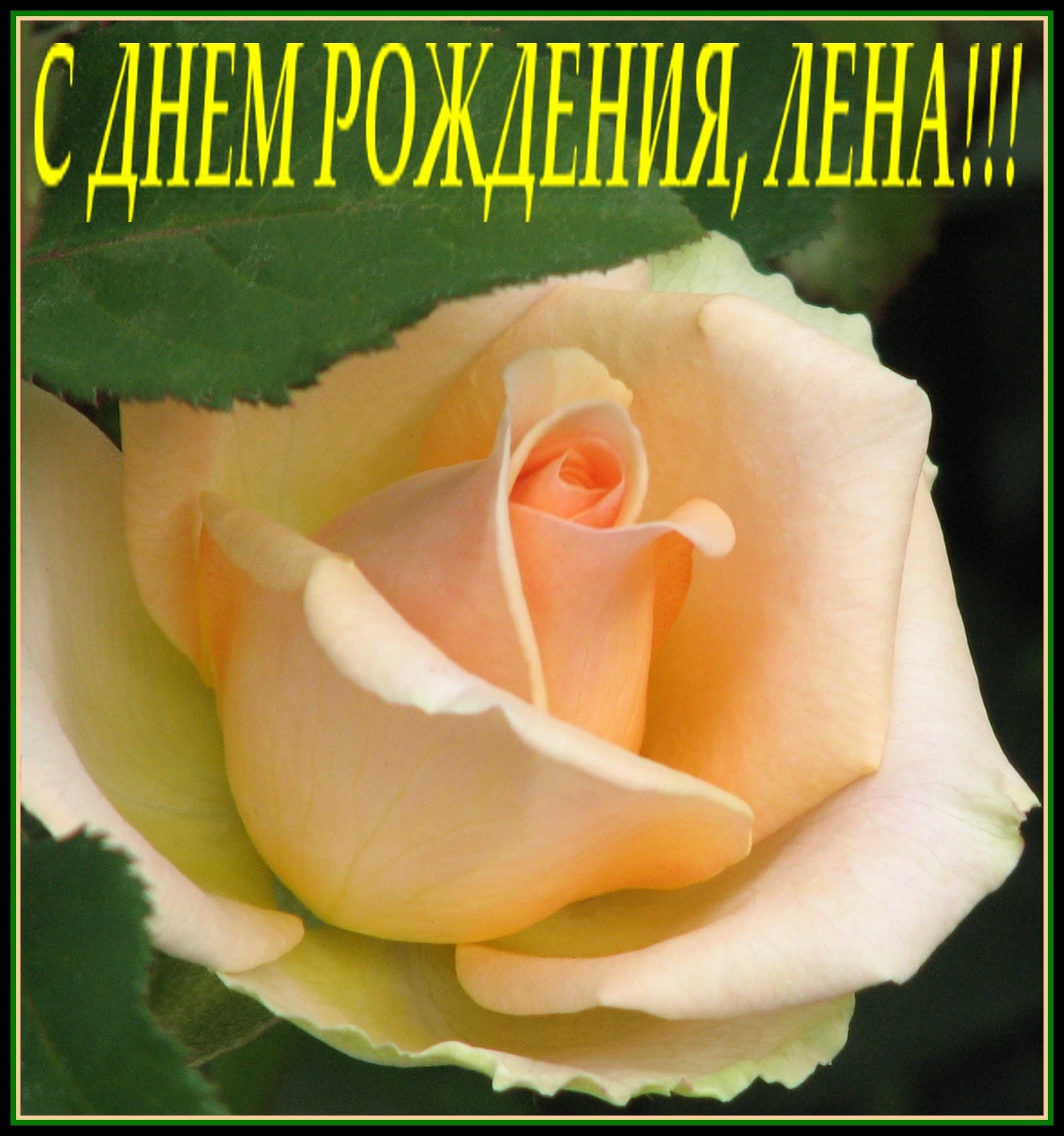 Лена с днем рождения картинки ДЕНЬ РОЖДЕНИЯ ОТКРЫТКИ 13 Лена с днем рождения картинки ДЕНЬ РОЖДЕНИЯ ОТКРЫТКИ 74