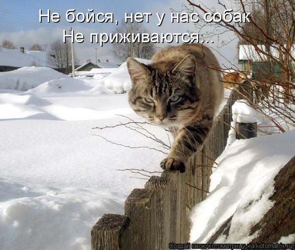http://content.foto.mail.ru/mail/valentina-3v/1348/i-8141.jpg