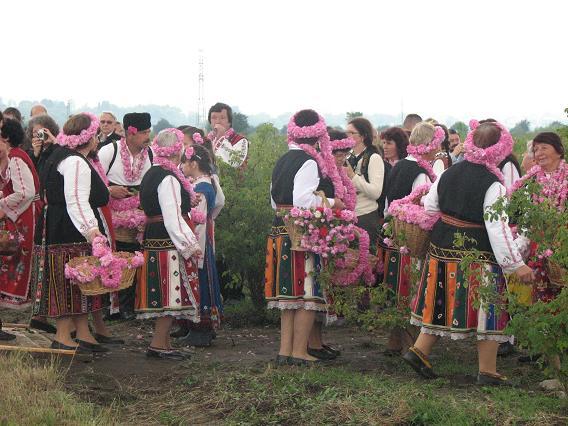 Фестиваль роз 